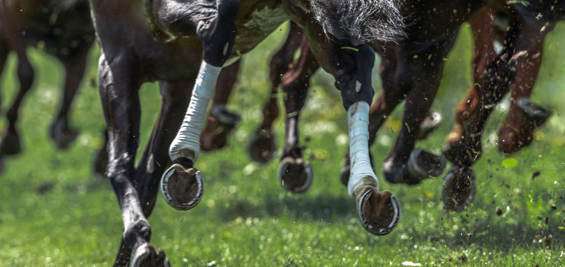 view from the back of running horses' hoofs on grass