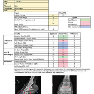 EQUI-LIBRIUM™ Radiograph Data Sheet example