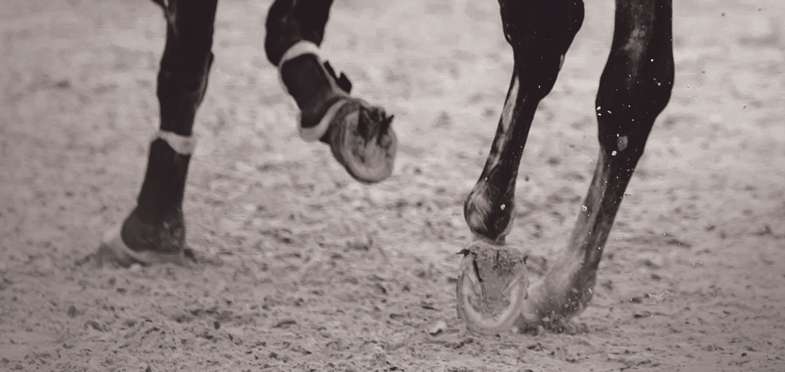 close up of horse hoofs on black horse